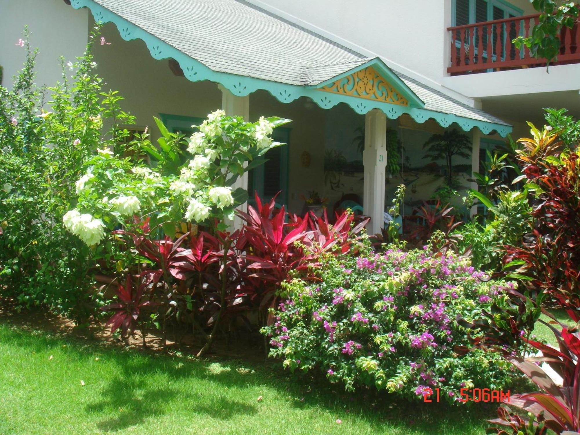 Hotel Playa Colibri Las Terrenas Exterior foto