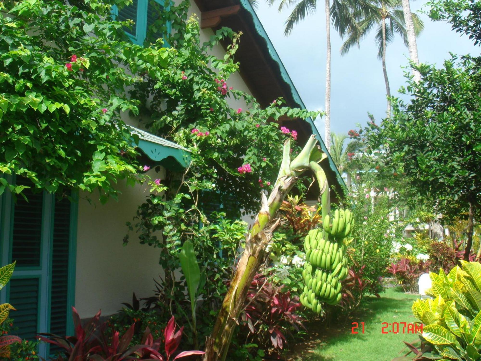 Hotel Playa Colibri Las Terrenas Exterior foto